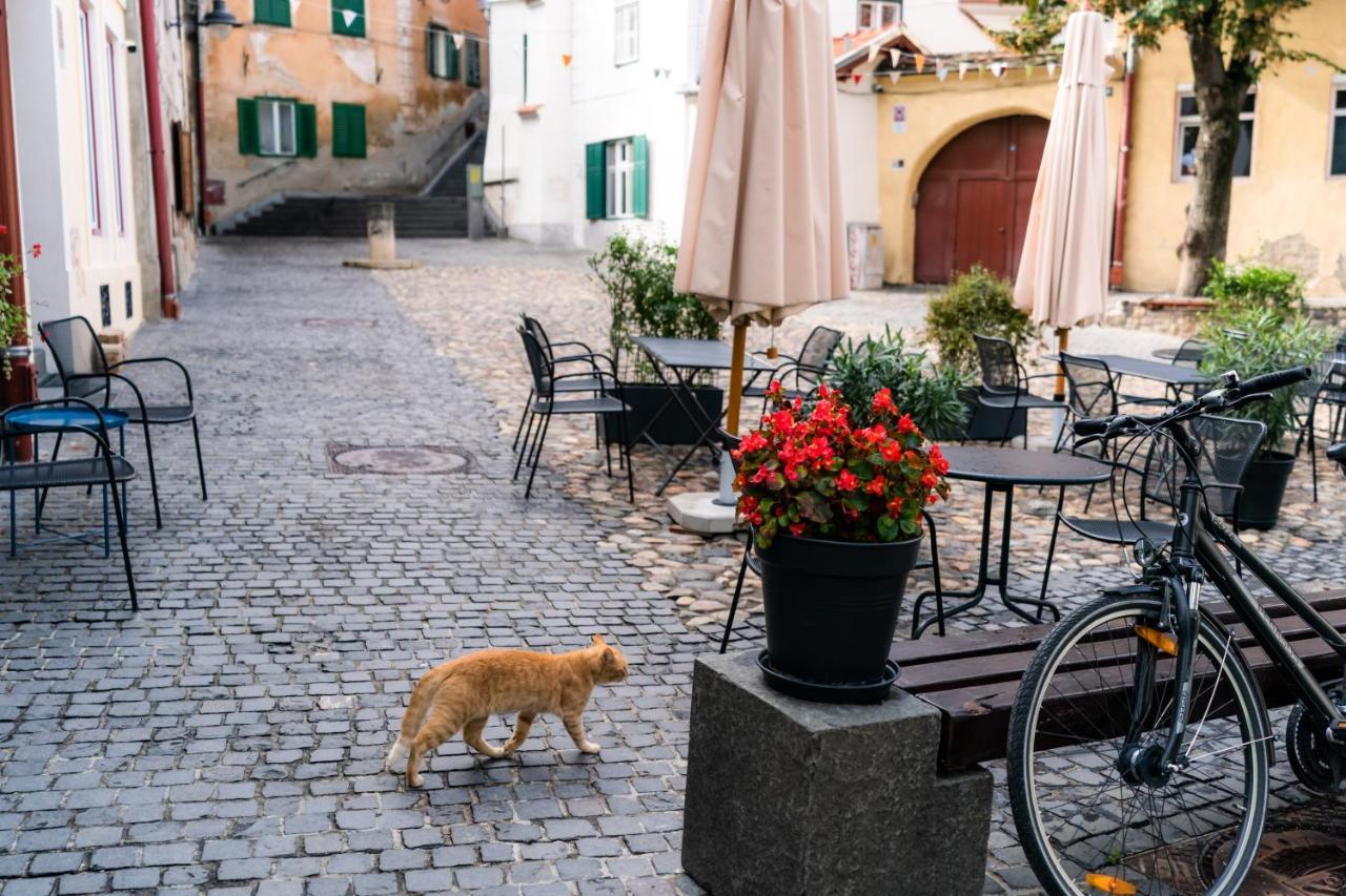 Charming Studio Ideal For Getaways Or Workations In Sibiu'S Medieval City Center Eksteriør billede
